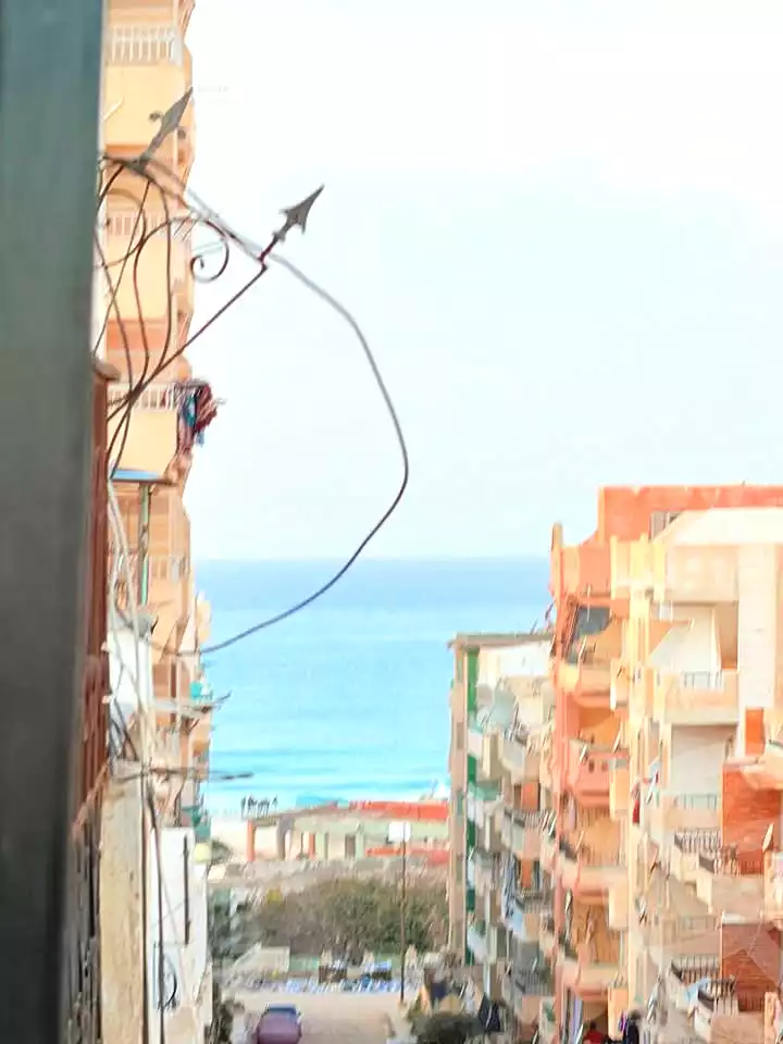 https://aqarmap.com.eg/ar/listing/6720871-for-sale-alexandria-l-jmy-shataa-el-nakheel