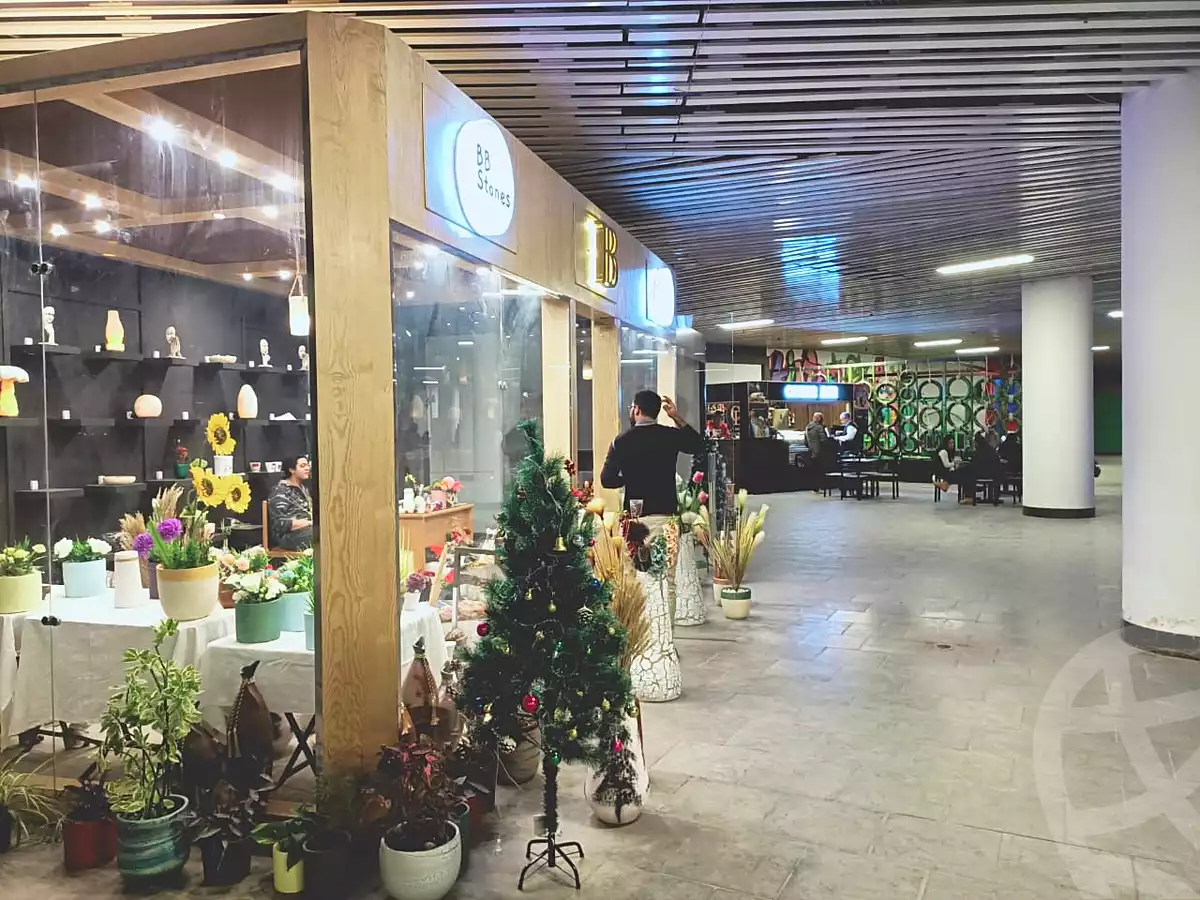 https://aqarmap.com.eg/en/listing/6723252-for-sale-cairo-new-cairo-compounds-park-mall-arab-development