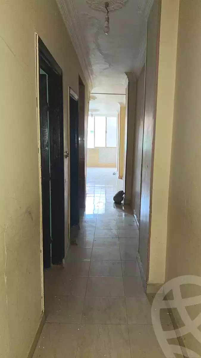 https://aqarmap.com.eg/en/listing/6724410-for-rent-cairo-faisal-tareeq-kaabesh