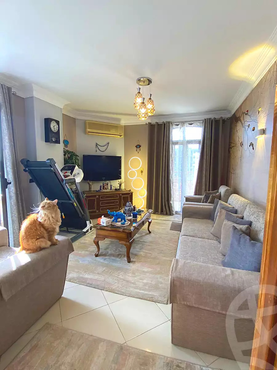 https://aqarmap.com.eg/en/listing/6726368-for-sale-cairo-el-maadi-el-maadi-el-gededa-el-lasilki