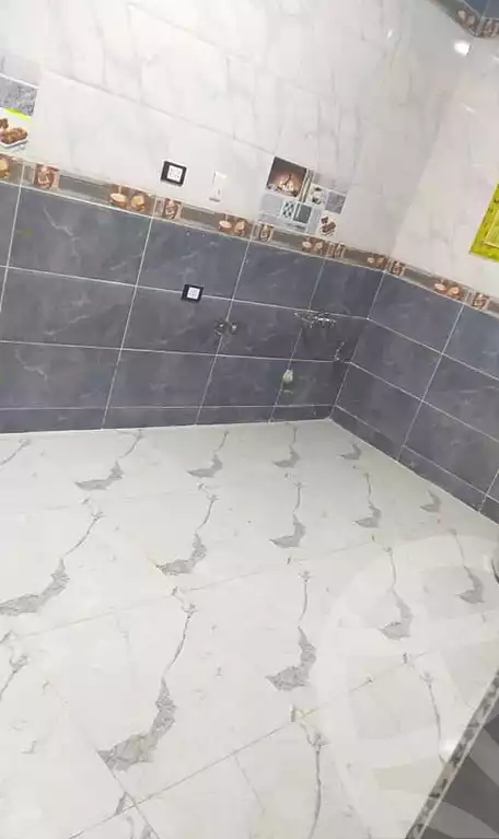 https://aqarmap.com.eg/en/listing/6727356-for-rent-cairo-faisal