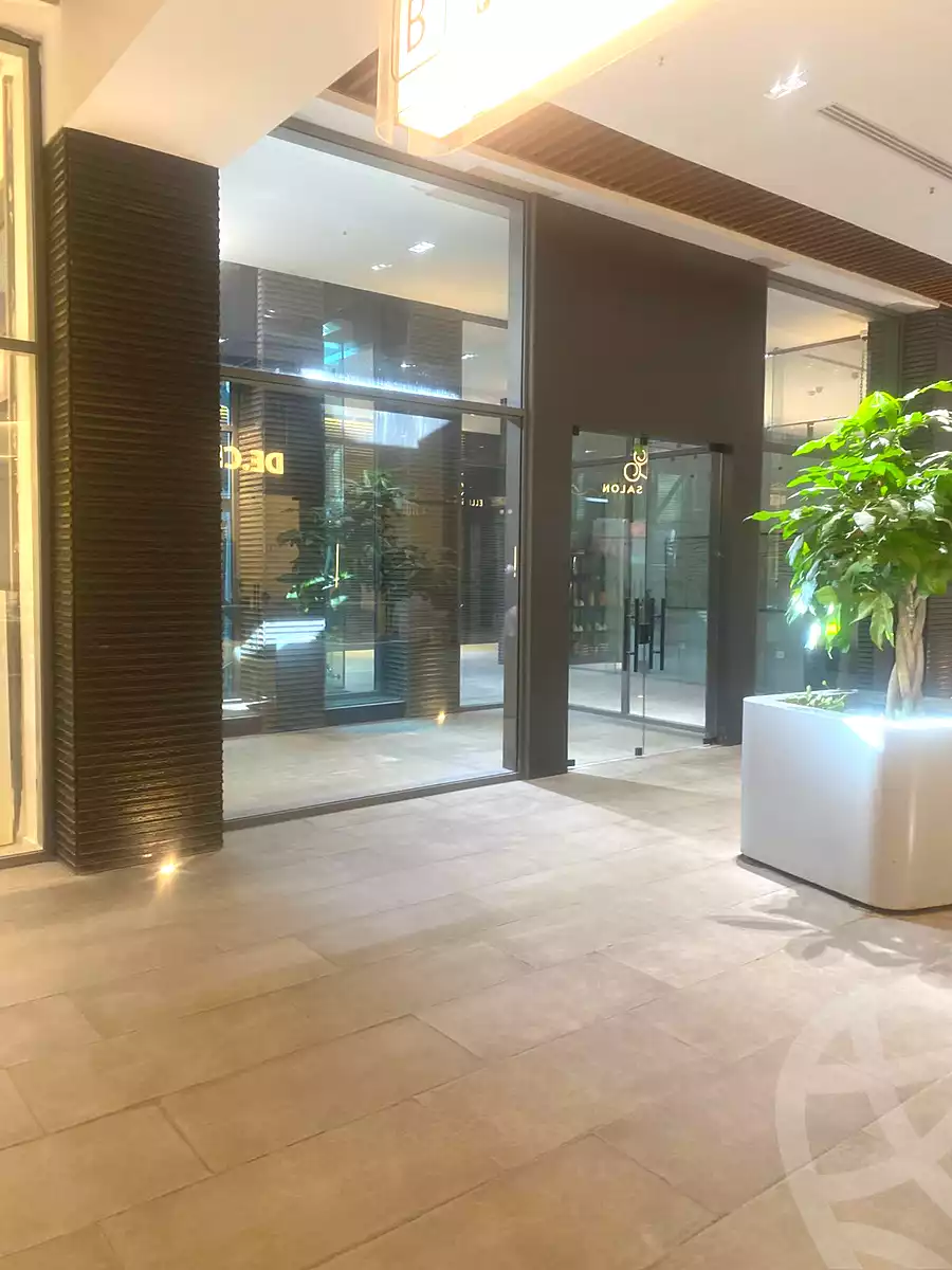 https://aqarmap.com.eg/en/listing/6727840-for-rent-cairo-new-cairo-mohammed-nagib-axis-st