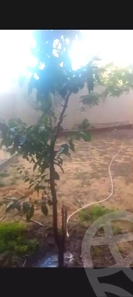 https://aqarmap.com.eg/ar/listing/6729440-for-sale-alexandria-l-jmy-lbytsh-shahr-al-assal-st