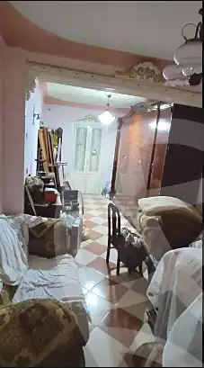 https://aqarmap.com.eg/en/listing/6735459-for-sale-alexandria-el-dekhela