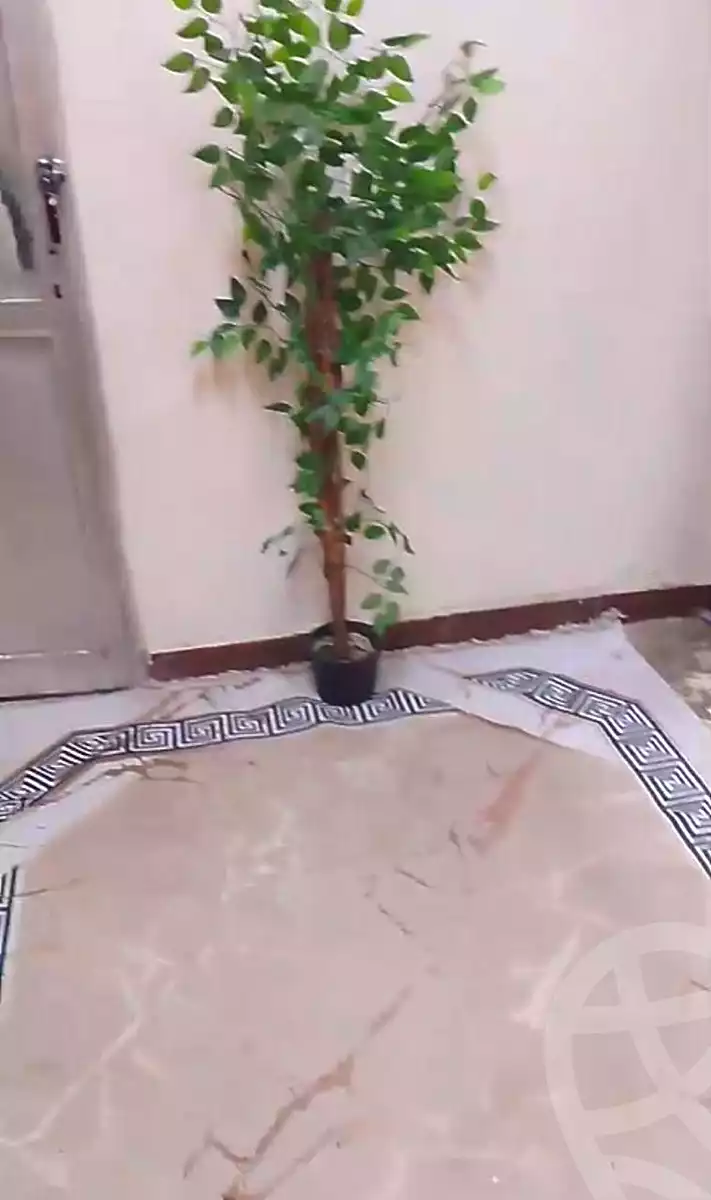 https://aqarmap.com.eg/en/listing/6741419-for-sale-cairo-downtown-el-darb-elahmer
