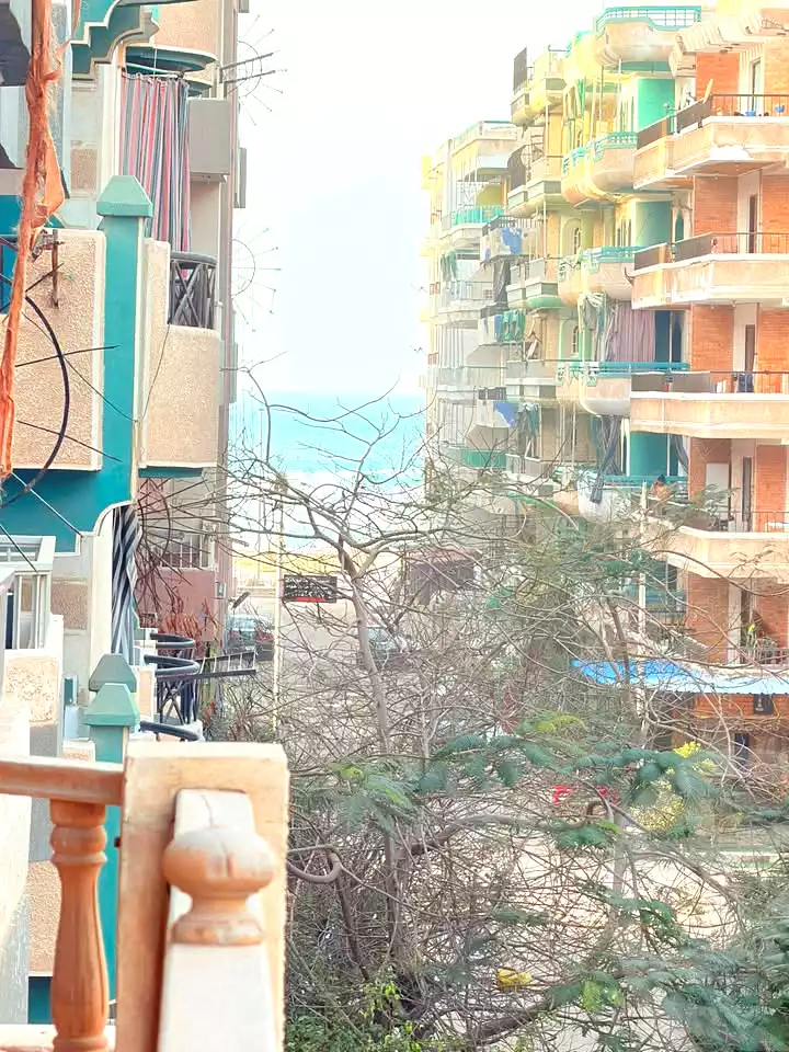https://aqarmap.com.eg/ar/listing/6742515-for-sale-alexandria-l-jmy-shataa-el-nakheel