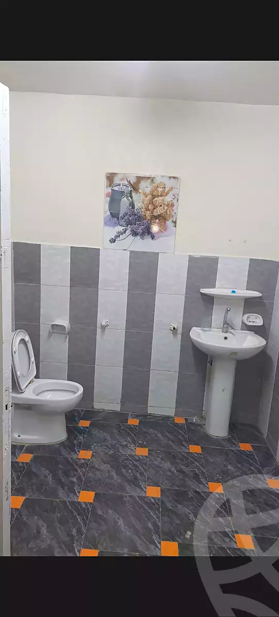 https://aqarmap.com.eg/en/listing/6744099-for-sale-cairo-nasr-city-tareq-el-nasr