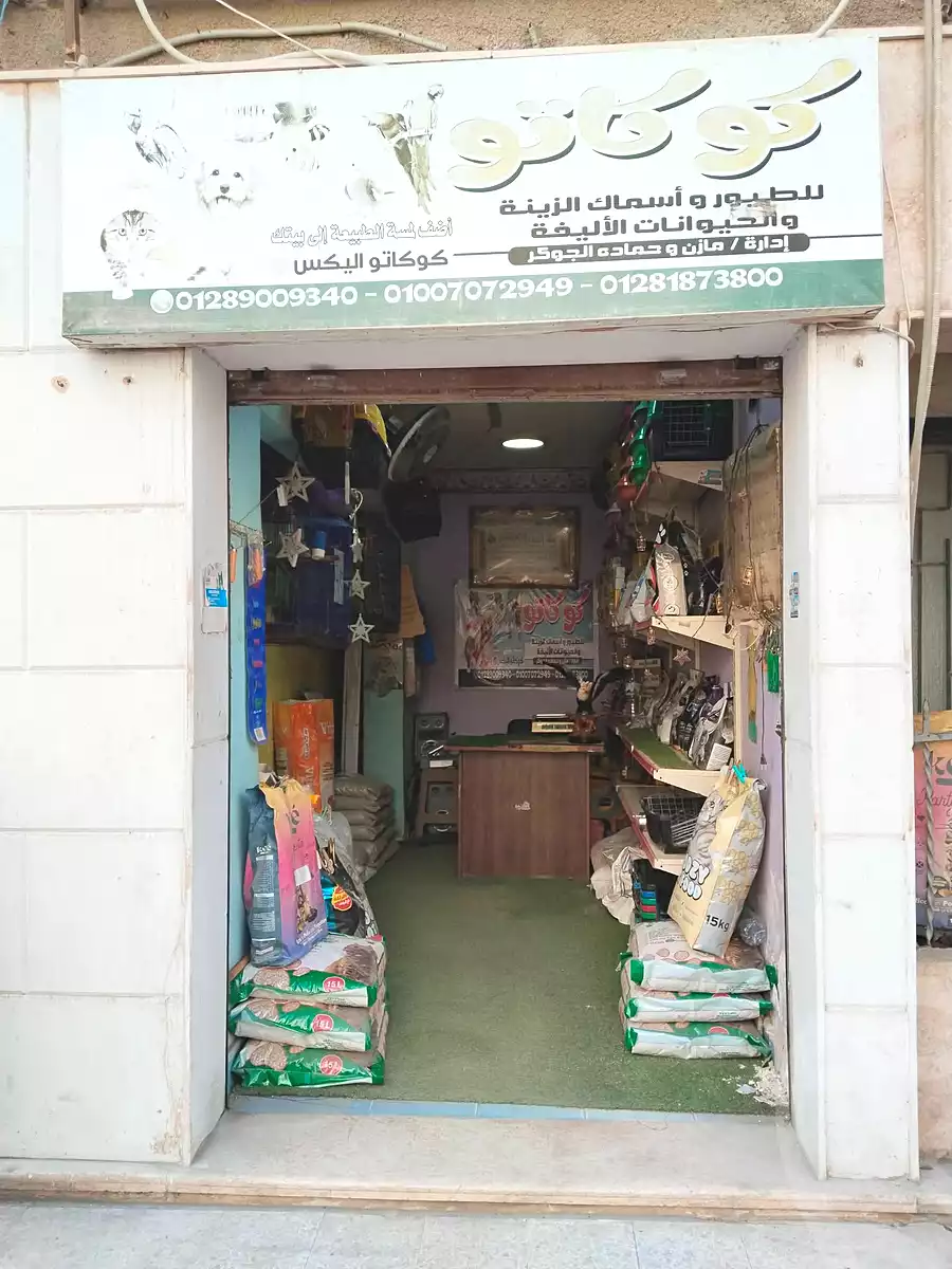 https://aqarmap.com.eg/ar/listing/6752463-for-sale-alexandria-lsywf-shamaa