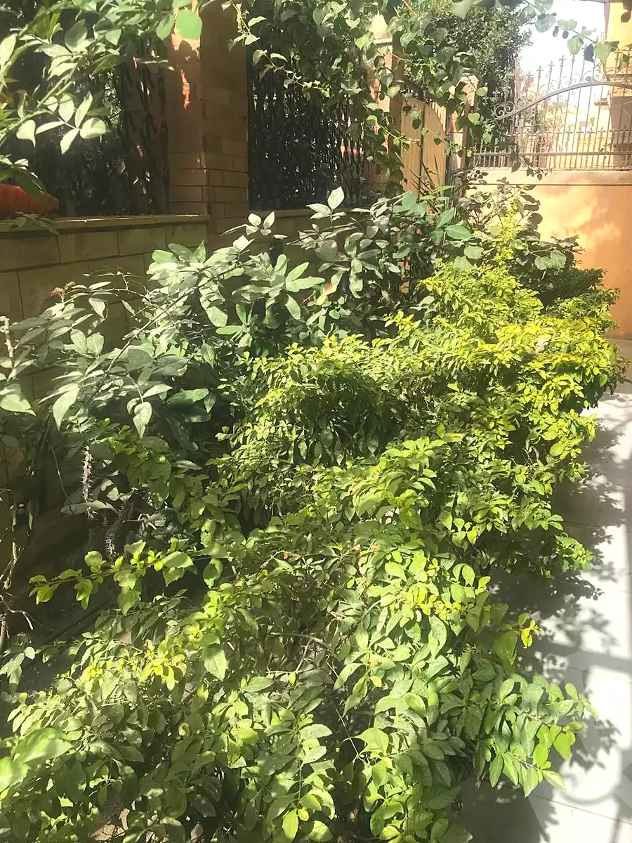 https://aqarmap.com.eg/ar/listing/6752795-for-rent-cairo-6th-of-october-el-ahyaa-neighborhood-2nd