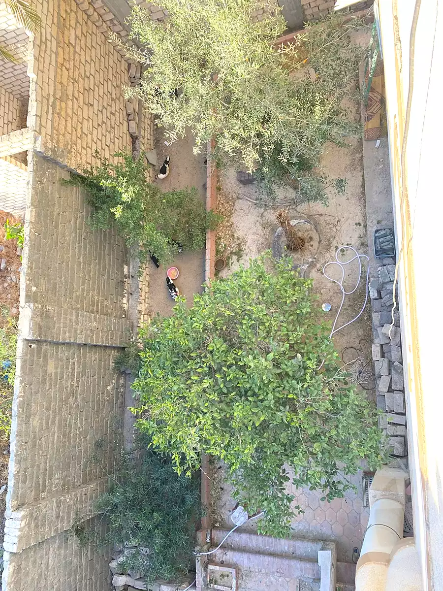https://aqarmap.com.eg/en/listing/6754450-for-sale-alexandria-l-jmy-bw-ywsf