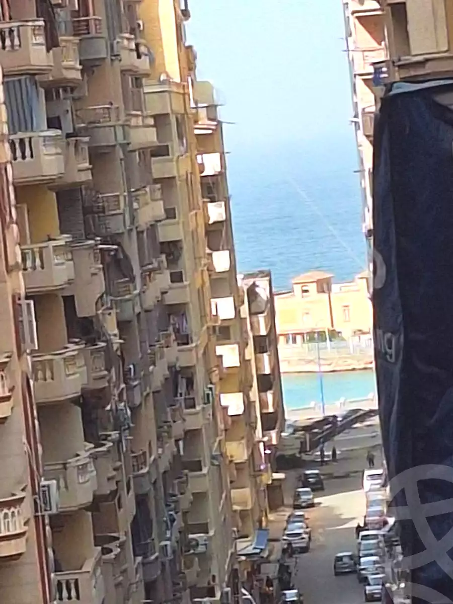 https://aqarmap.com.eg/en/listing/6757215-for-sale-alexandria-miami-mohammed-galal-hammad-st