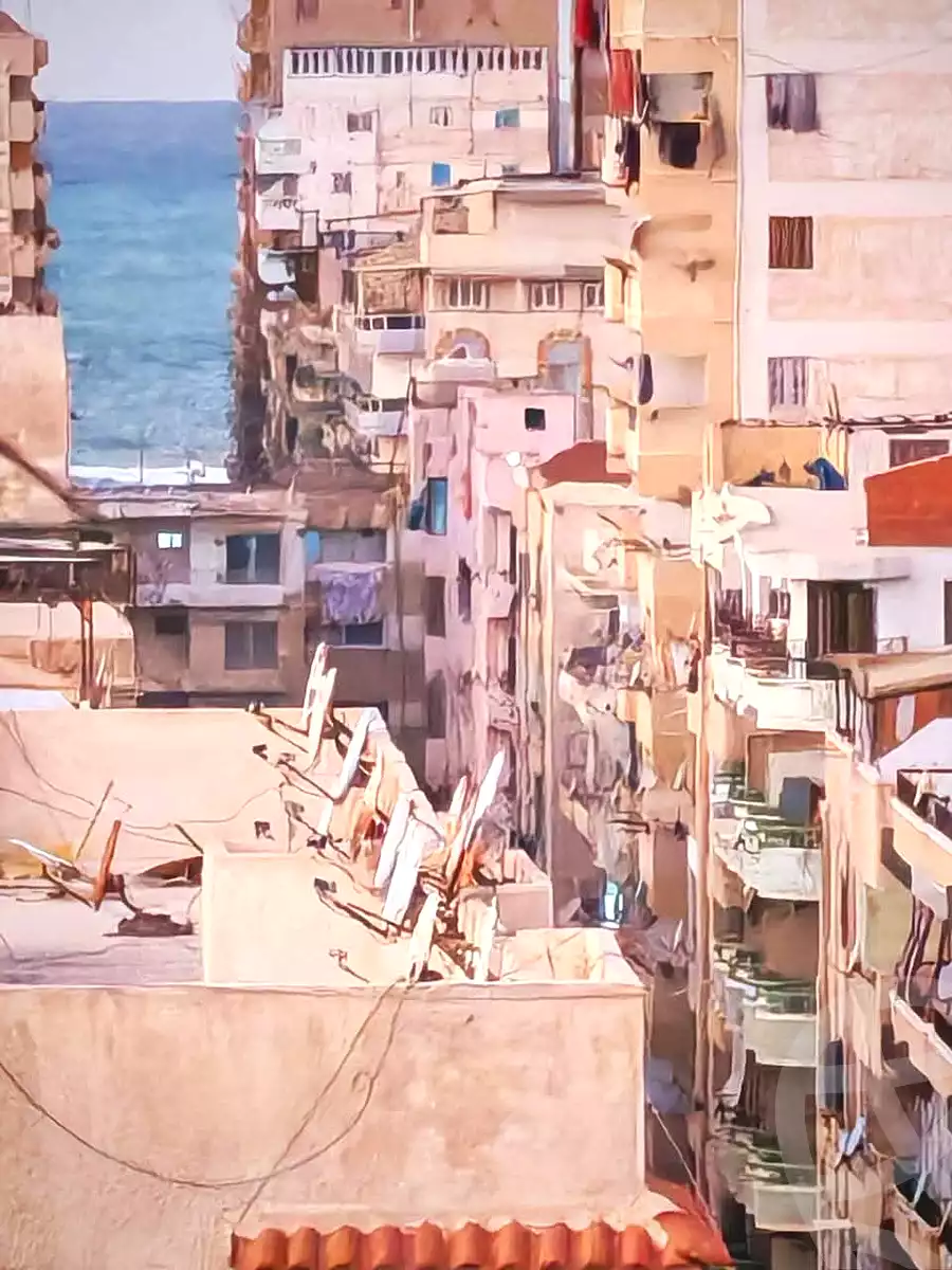 https://aqarmap.com.eg/ar/listing/6757330-for-sale-alexandria-l-jmy-shataa-el-nakheel