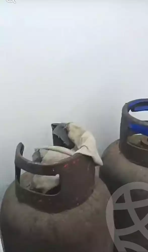 https://aqarmap.com.eg/en/listing/6766079-for-rent-alexandria-sydy-bshr-sydy-bshr-qbly-hoda-el-islam-mosque-st