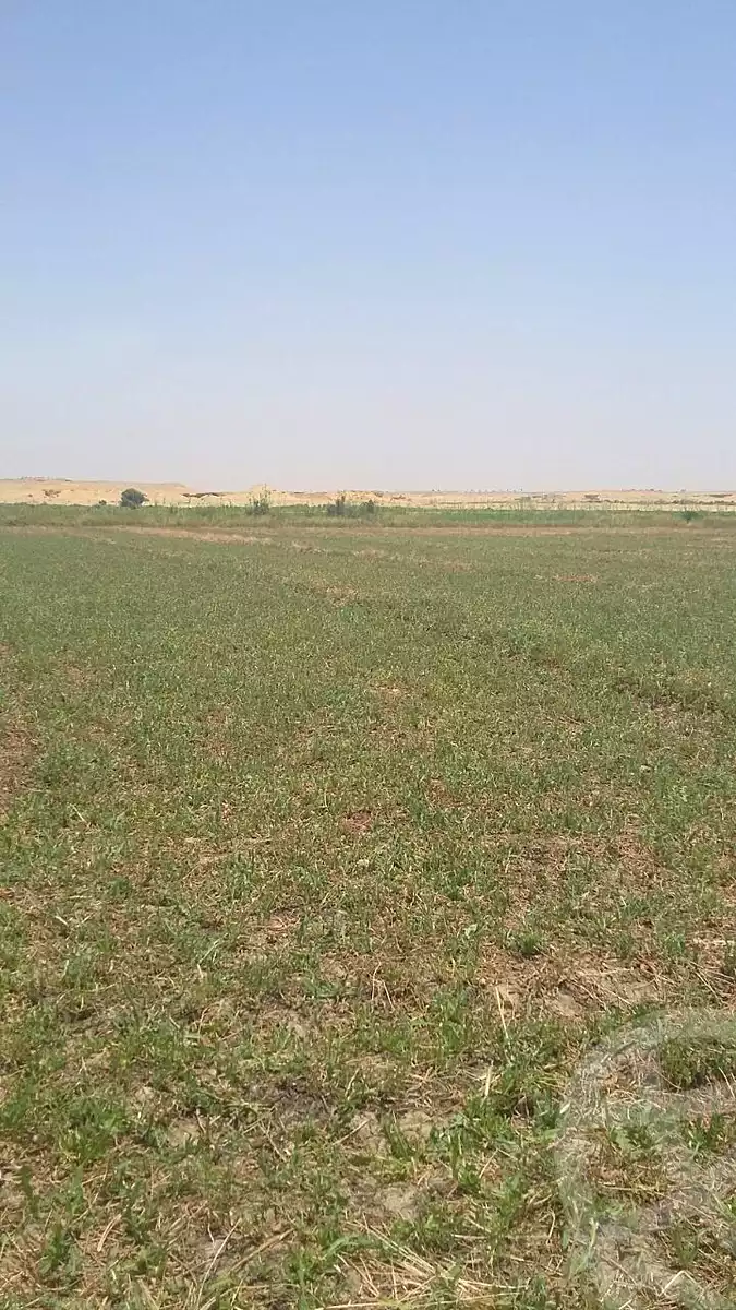 https://aqarmap.com.eg/ar/listing/6766148-for-sale-beheira-abu-el-matamir-abu-el-matamir-city