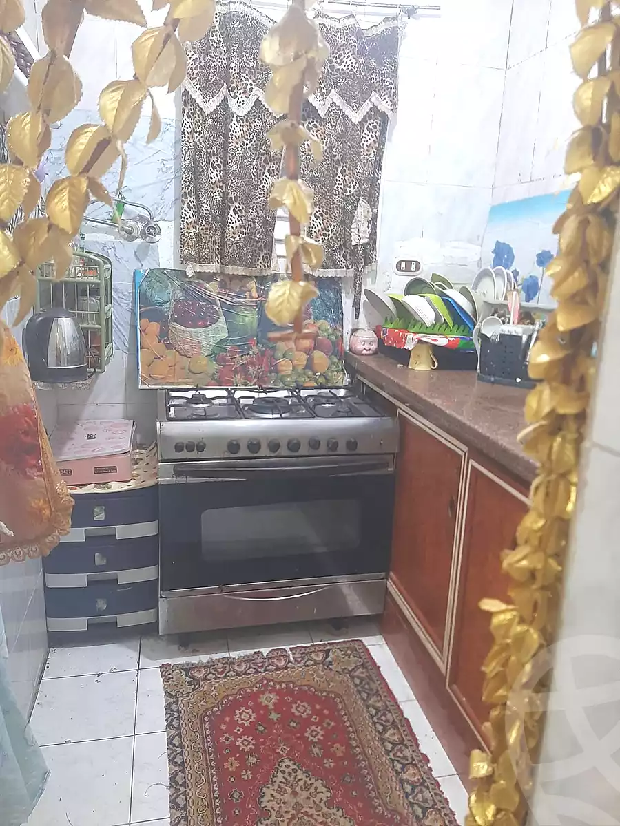 https://aqarmap.com.eg/en/listing/6768674-for-sale-alexandria-l-jmy-bw-ywsf