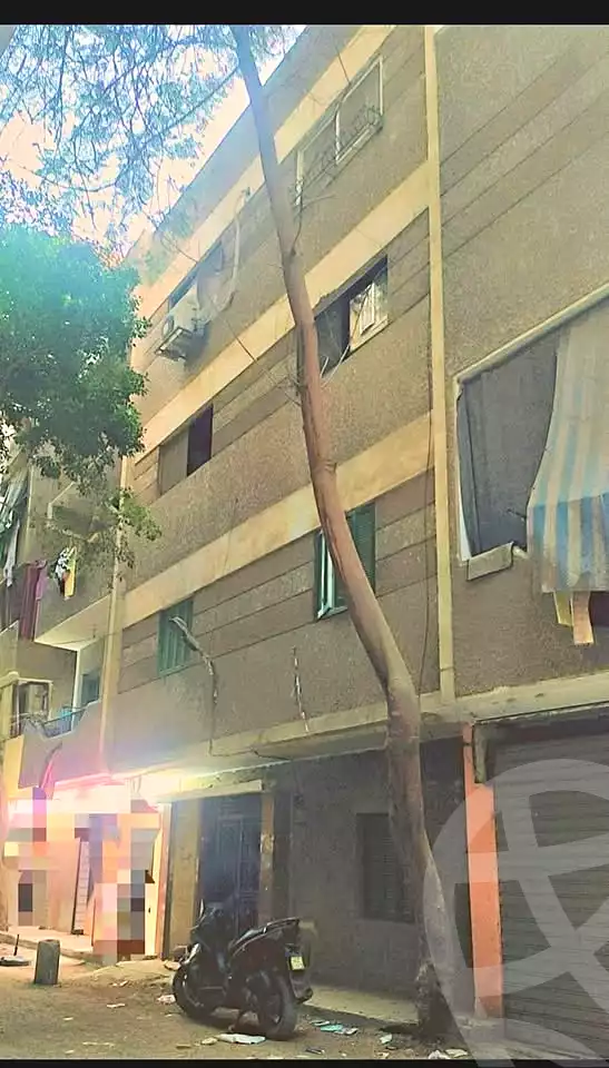 https://aqarmap.com.eg/ar/listing/6774839-for-sale-cairo-el-haram-shareaa-khatem-el-morsalen