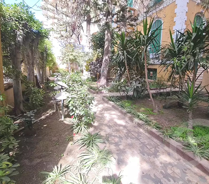 https://aqarmap.com.eg/en/listing/6776341-for-rent-alexandria-zezenia