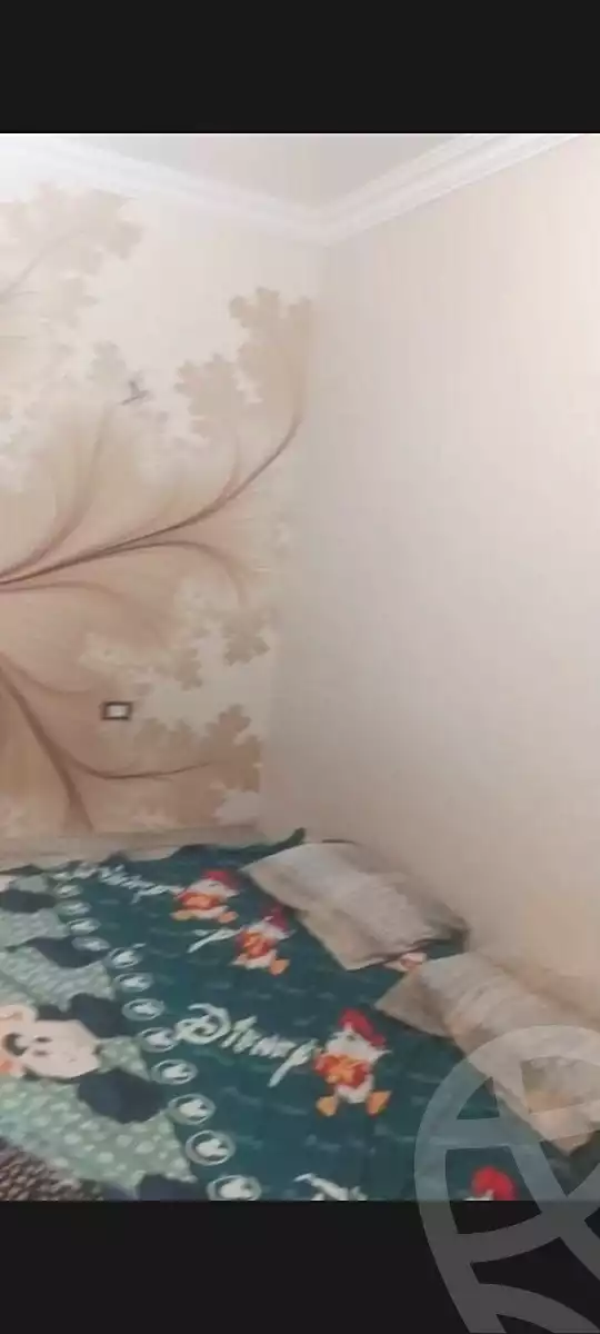 https://aqarmap.com.eg/ar/listing/6776977-for-rent-cairo-faisal-tareeq-kaabesh