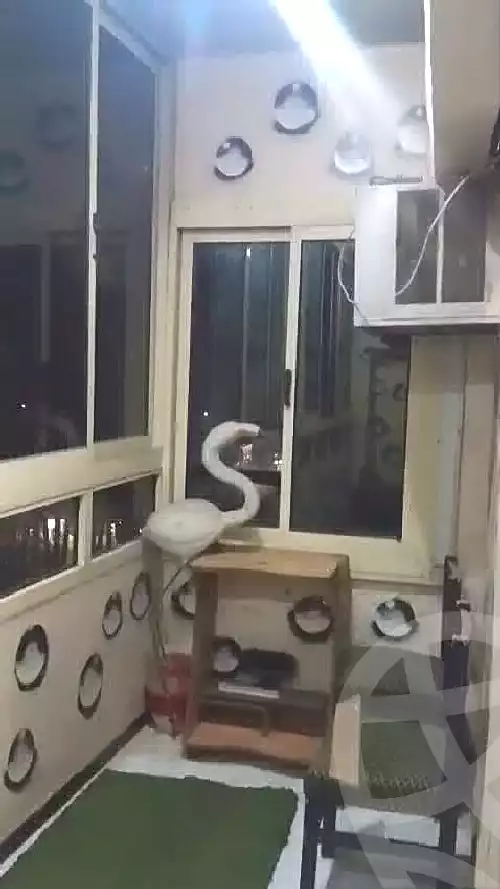 https://aqarmap.com.eg/ar/listing/6778015-for-rent-cairo-faisal-shareaa-el-malek-fasel