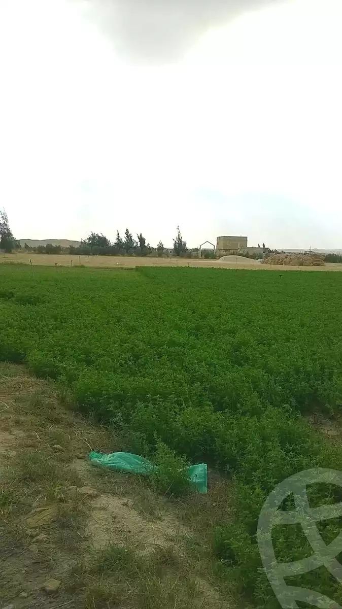 https://aqarmap.com.eg/ar/listing/6781073-for-sale-beheira-abu-el-matamir-abu-el-matamir-city