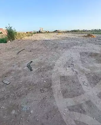 https://aqarmap.com.eg/en/listing/6781453-for-sale-alexandria-moharram-bey