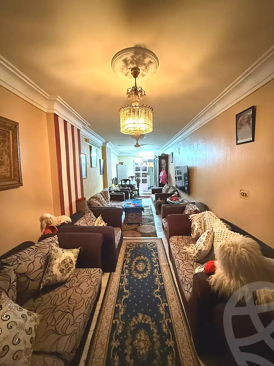 https://aqarmap.com.eg/ar/listing/6783466-for-sale-alexandria-el-asafra-ali-bahgat-al-deryni-st