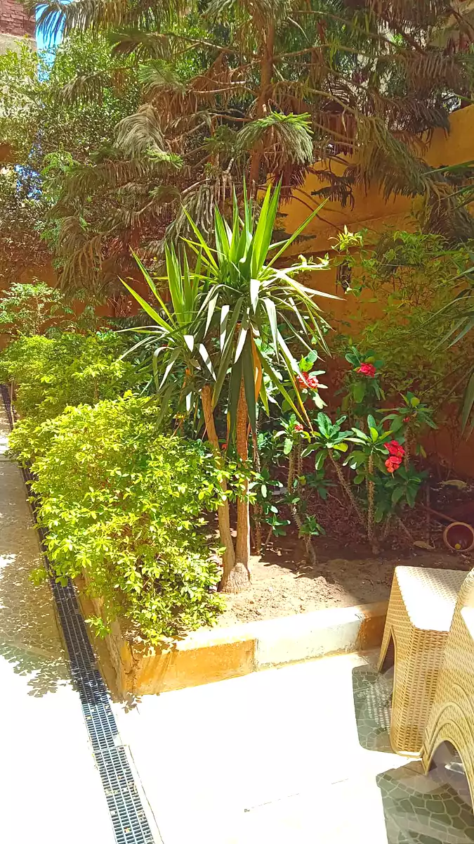 https://aqarmap.com.eg/ar/listing/6783669-for-sale-cairo-6th-of-october-el-ahyaa-neighborhood-1st-eighth-neighborhood