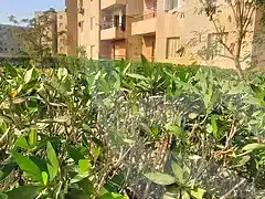https://aqarmap.com.eg/en/listing/6407364-for-sale-cairo-helwan-el-ezba-el-qebliah-city-of-heroes