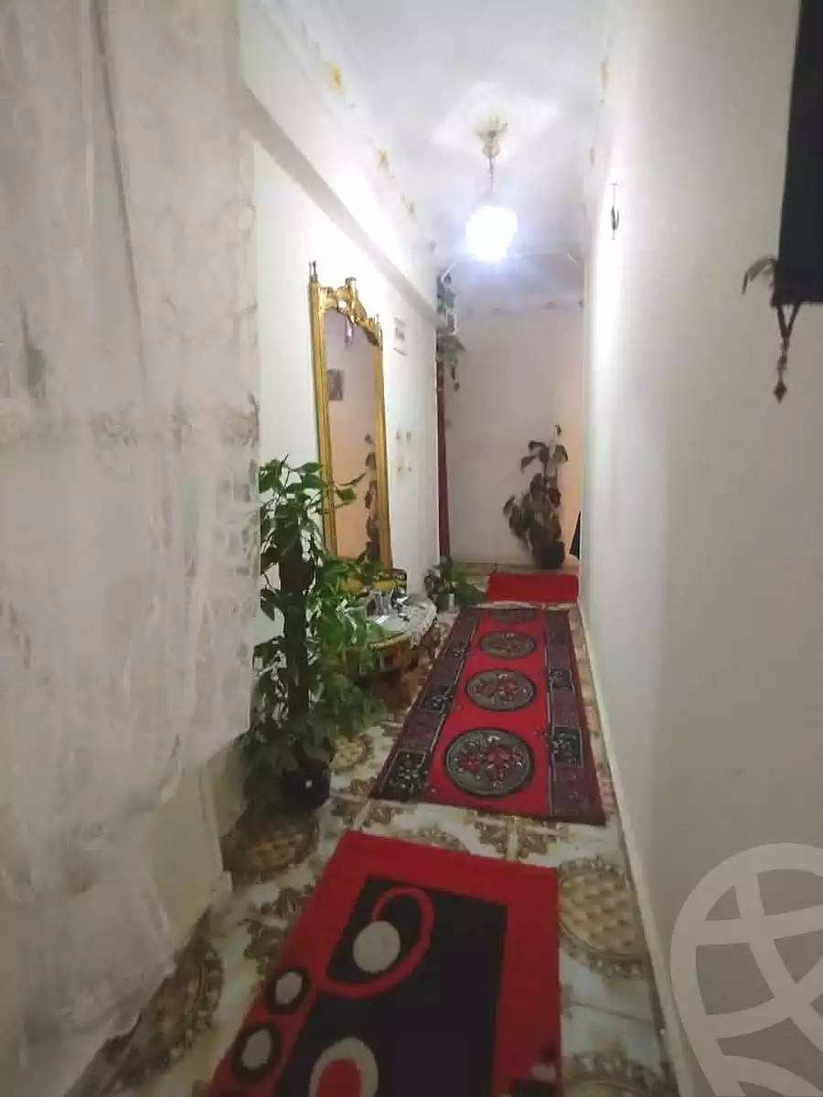 https://aqarmap.com.eg/en/listing/6787013-for-sale-alexandria-l-jmy-lbytsh-belia-st