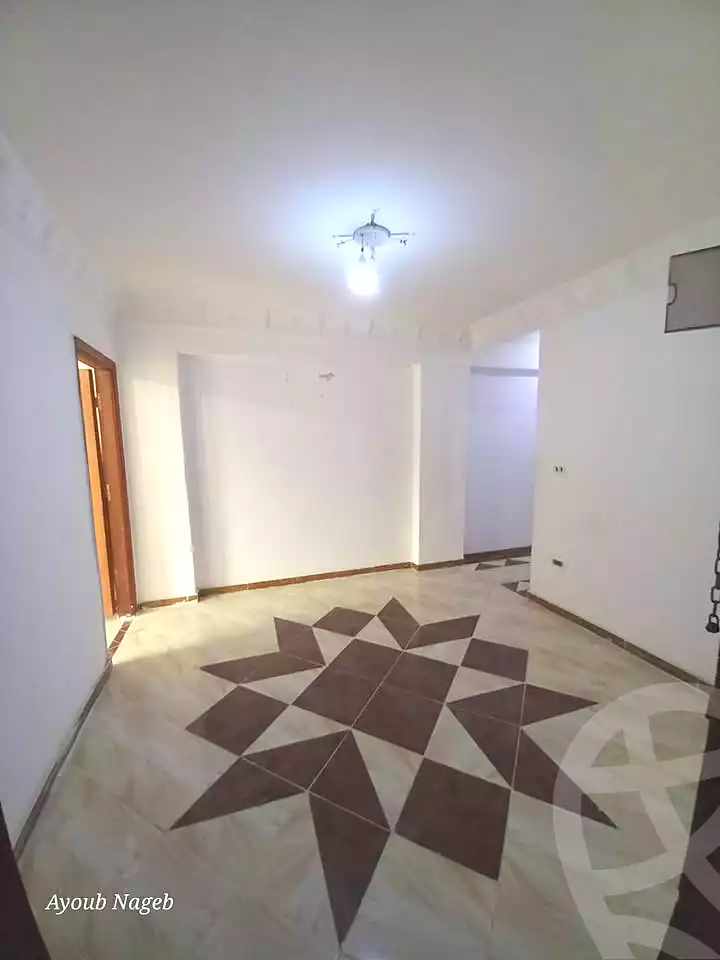 https://aqarmap.com.eg/en/listing/6792767-for-sale-alexandria-l-jmy-lbytsh-el-hay-st