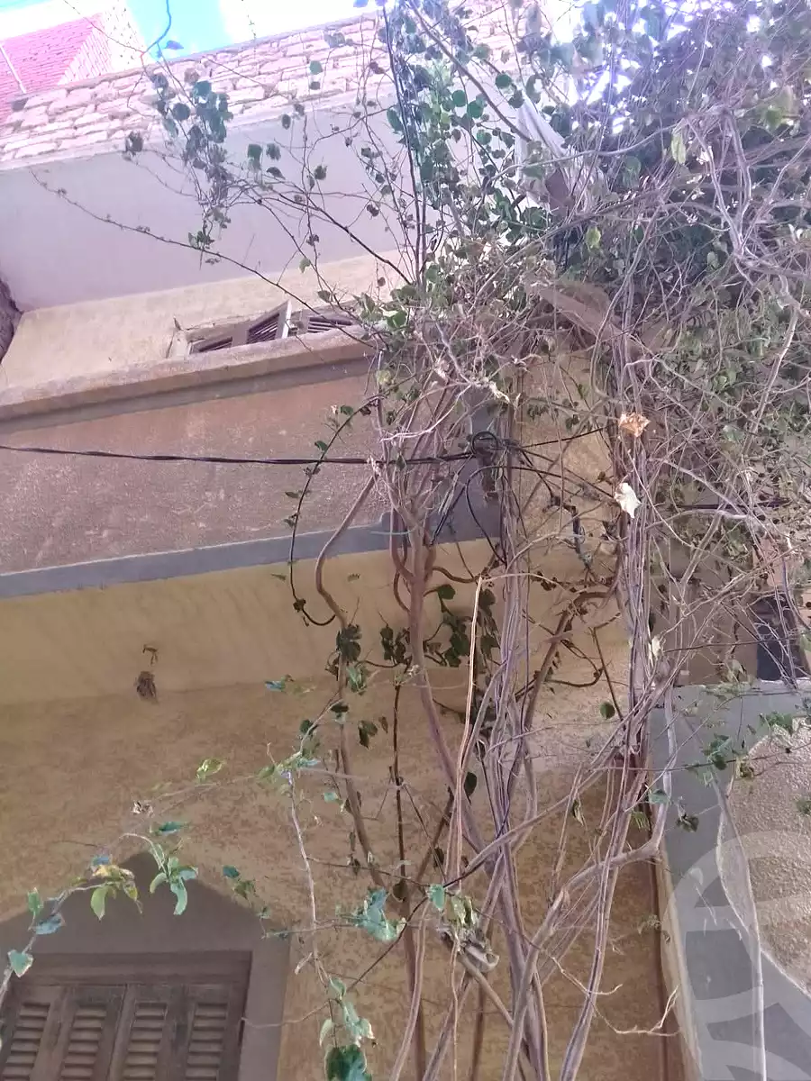 https://aqarmap.com.eg/ar/listing/6793541-for-sale-alexandria-abu-talat