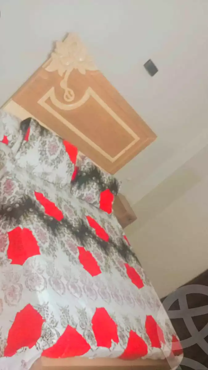 https://aqarmap.com.eg/ar/listing/6794917-for-rent-cairo-el-haram-shareaa-khatem-el-morsalen