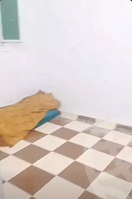 https://aqarmap.com.eg/en/listing/6800928-for-sale-cairo-ljyz-el-moneeb