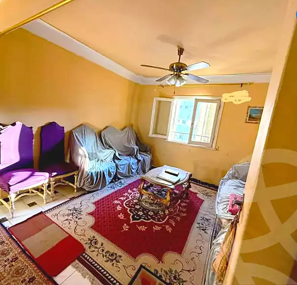 https://aqarmap.com.eg/en/listing/6802582-for-sale-alexandria-ganaklis-shr-bw-qyr-tryq-lhry