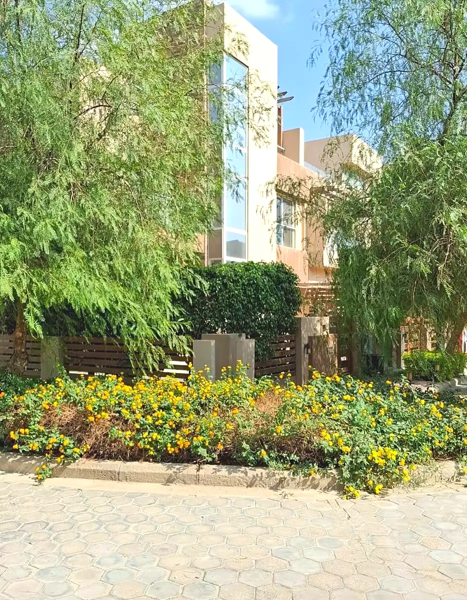 https://aqarmap.com.eg/ar/listing/6803335-for-sale-cairo-6th-of-october-compounds-rayos