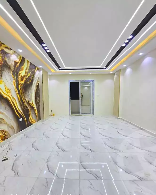 https://aqarmap.com.eg/en/listing/6803805-for-sale-cairo-faisal-el-lebeny