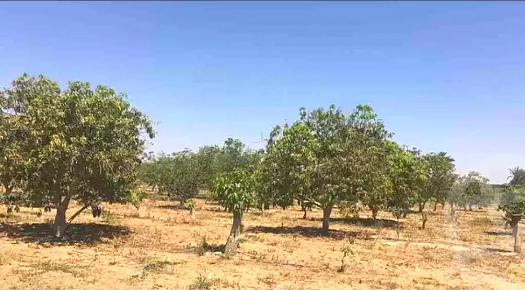 https://aqarmap.com.eg/en/listing/6805140-for-sale-beheira-wadi-el-natrun