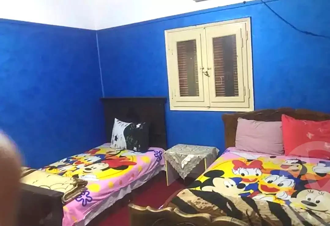 https://aqarmap.com.eg/en/listing/6805303-for-rent-dakahlia-mansoura-hy-ljm