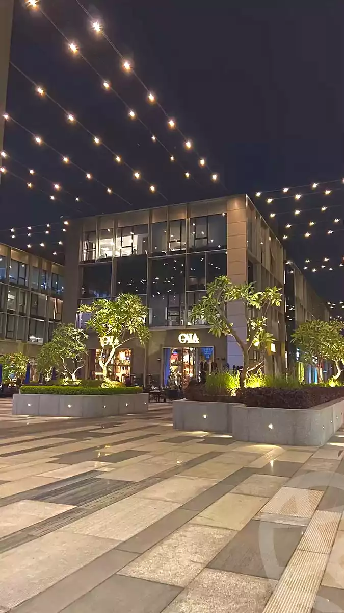 https://aqarmap.com.eg/en/listing/6805508-for-rent-cairo-new-cairo-90th-street-south-teseen-st