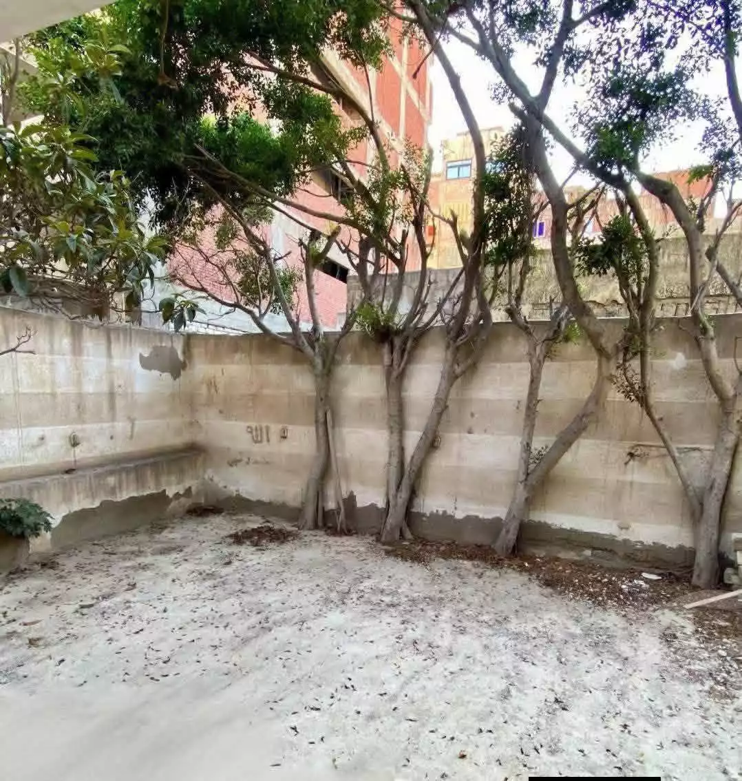 https://aqarmap.com.eg/en/listing/6807329-for-sale-alexandria-l-jmy-lbytsh-al-kaada-st