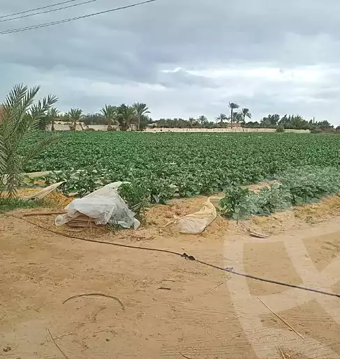 https://aqarmap.com.eg/en/listing/6807679-for-sale-beheira-wadi-el-natrun-el-hamraa