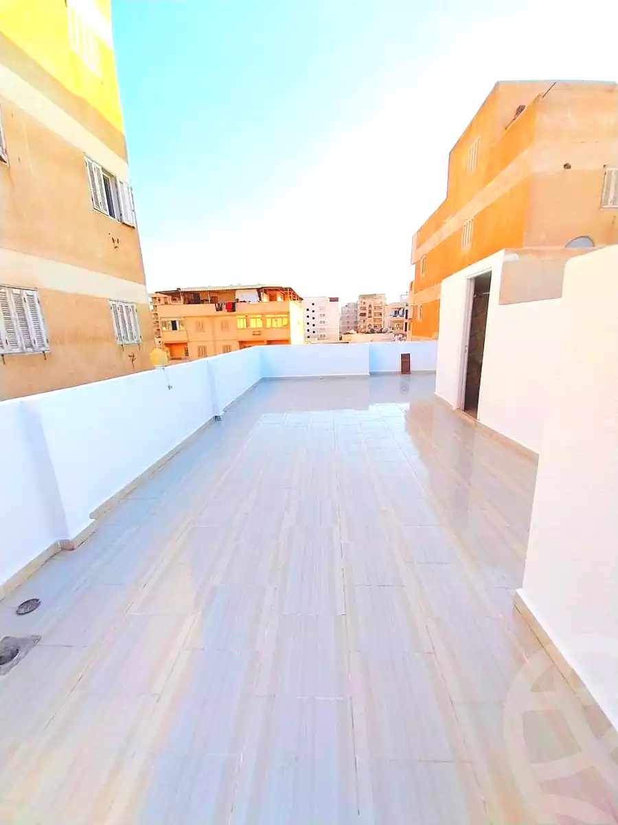 https://aqarmap.com.eg/en/listing/6808342-for-sale-alexandria-l-jmy-shataa-el-nakheel