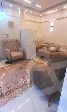 https://aqarmap.com.eg/ar/listing/6809854-for-rent-cairo-manial