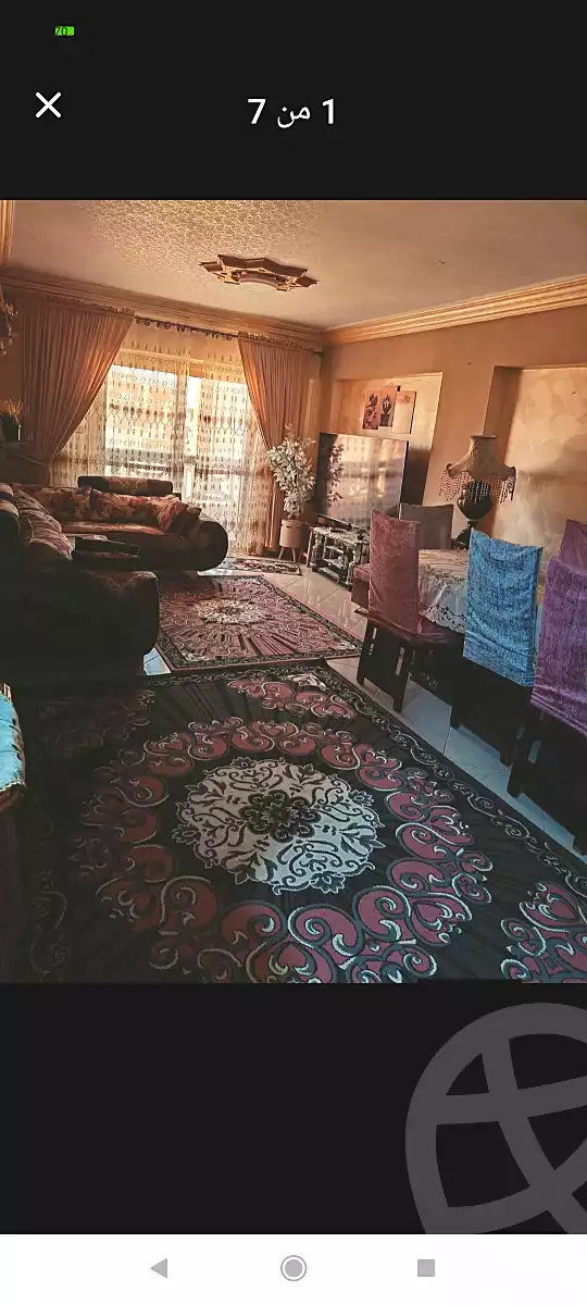 https://aqarmap.com.eg/ar/listing/6809868-for-sale-alexandria-l-jmy-lbytsh-el-hanafeya-st