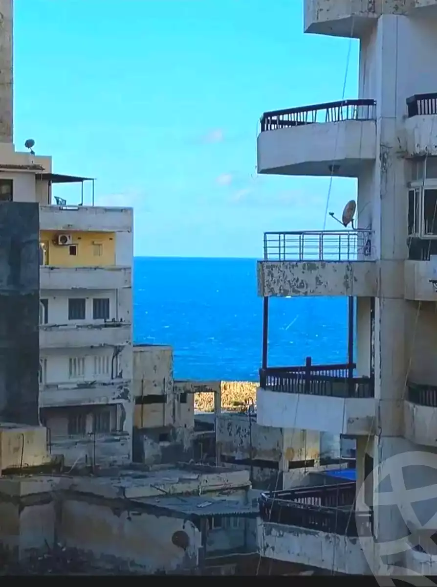 https://aqarmap.com.eg/ar/listing/6814112-for-sale-alexandria-miami-street-57