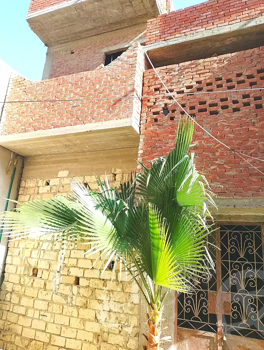https://aqarmap.com.eg/en/listing/6817294-for-sale-alexandria-abu-talat