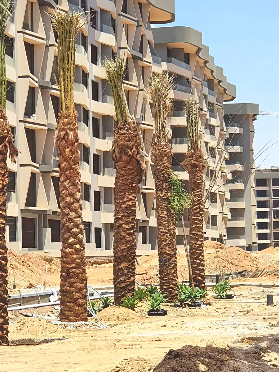 https://aqarmap.com.eg/en/listing/6817795-for-sale-cairo-new-administrative-capital-r7-midtown-condo
