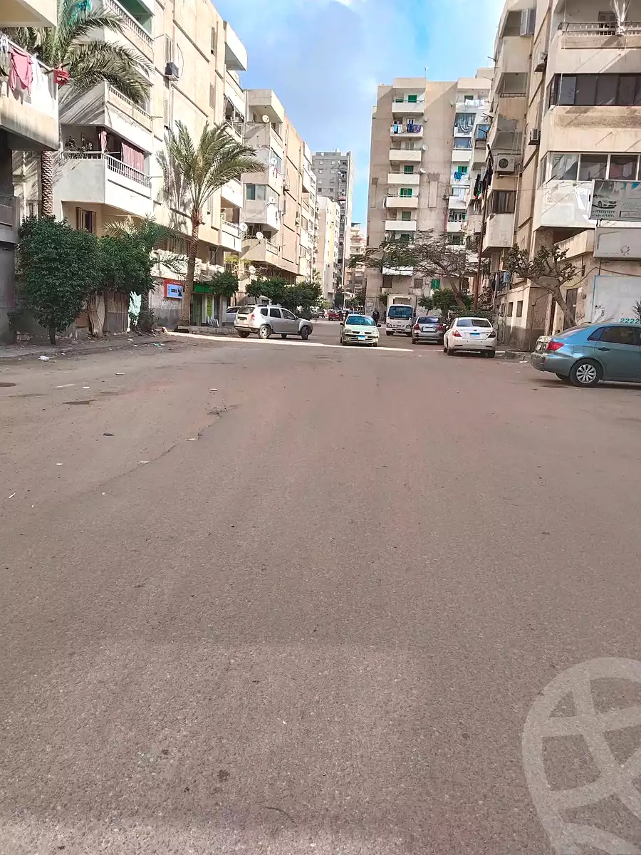 https://aqarmap.com.eg/en/listing/6826447-for-sale-alexandria-lsywf-shamaa