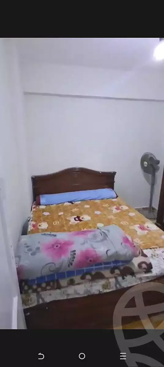 https://aqarmap.com.eg/en/listing/6829843-for-sale-alexandria-miami-mahmoud-el-isawy-st