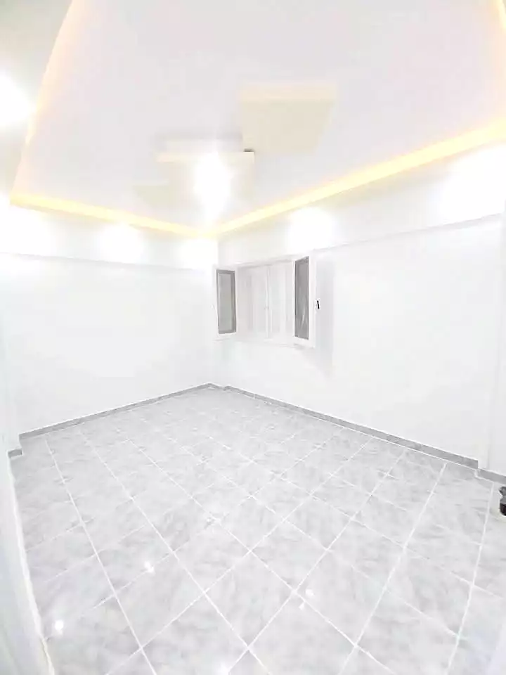 https://aqarmap.com.eg/en/listing/6830137-for-sale-alexandria-l-jmy-shataa-el-nakheel-street-10